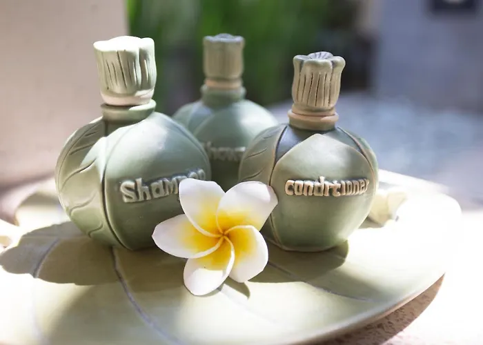 The Sanyas Suite Bali Seminyak 